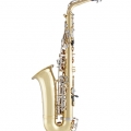 Selmer SAS201 Alto Saxophone