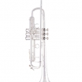 AB190S Trumpet