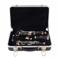 LCL301NPC Clarinet inside case